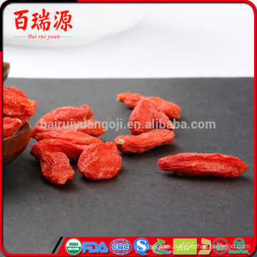 Las bayas de Goji benefician la pérdida de peso de bayas chinas goji wolfberry y goji berry